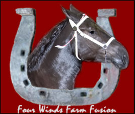 Trippcrest Farm Registered Percherons