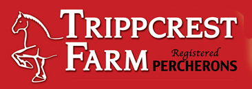 Trippcrest Farm Registered Percherons