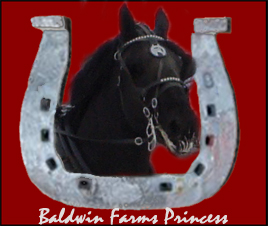 Baldwin Farms Princess